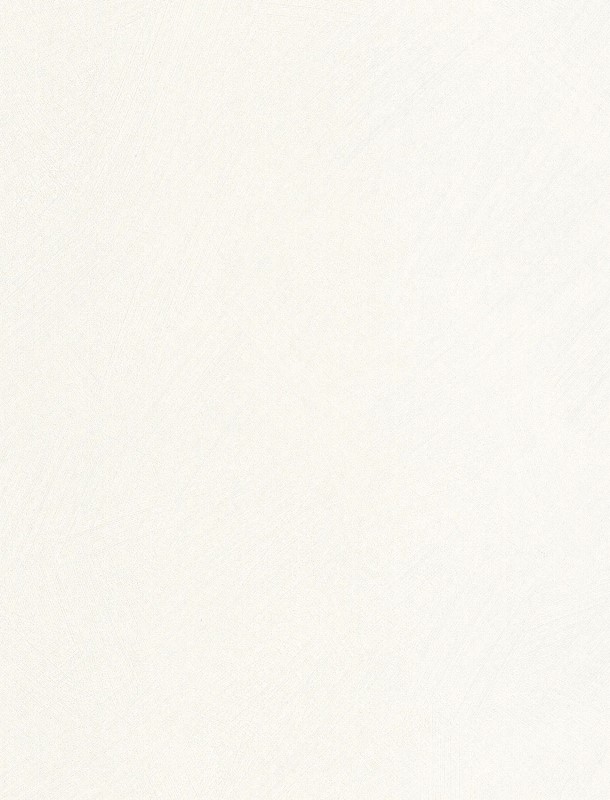  NST 499000000 