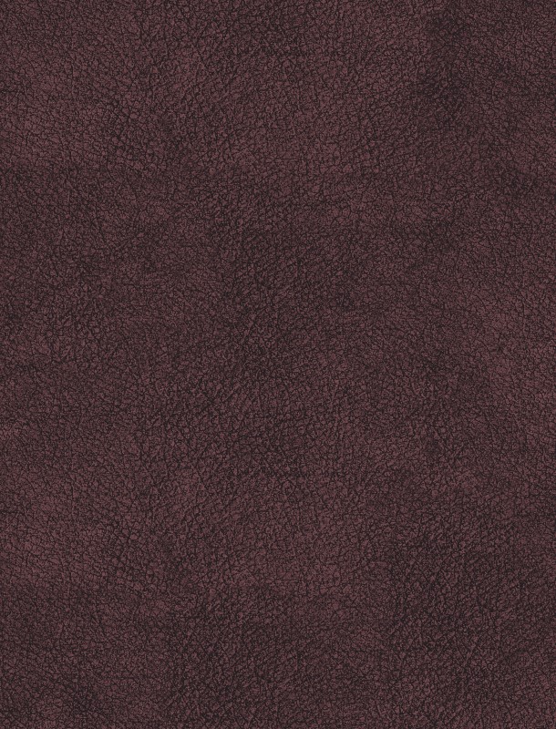  NVN302933 