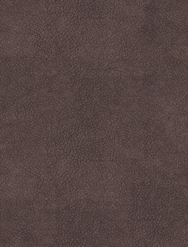  NVN302934 