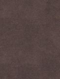  NVN302934 