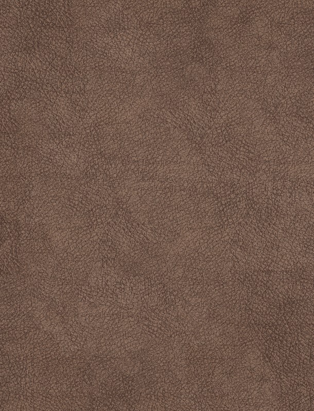  NVN302935 
