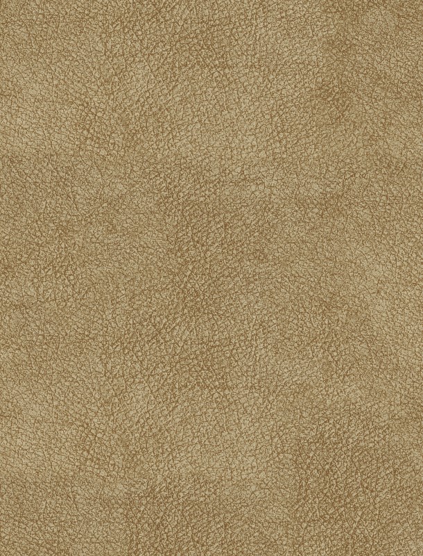  NVN302936 