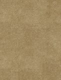  NVN302936 
