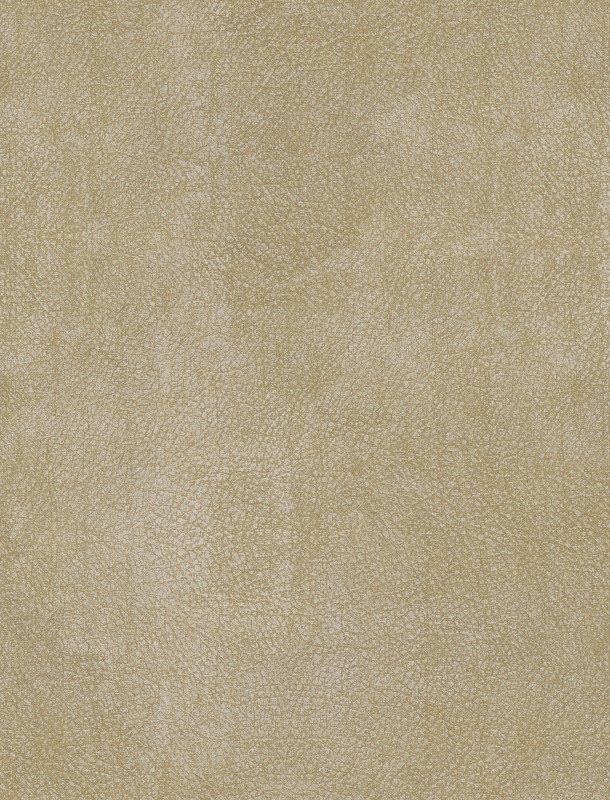  NVN302937 