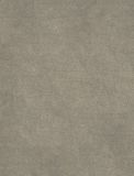  NVN302938 