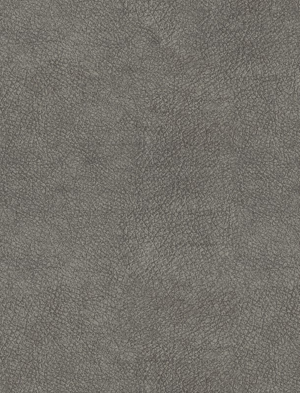 NVN302939 