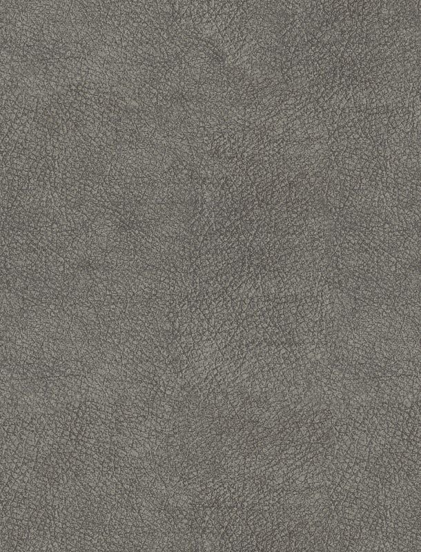  NVN302939 
