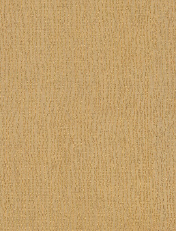  NVN302962 