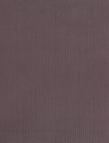  NVN302974 