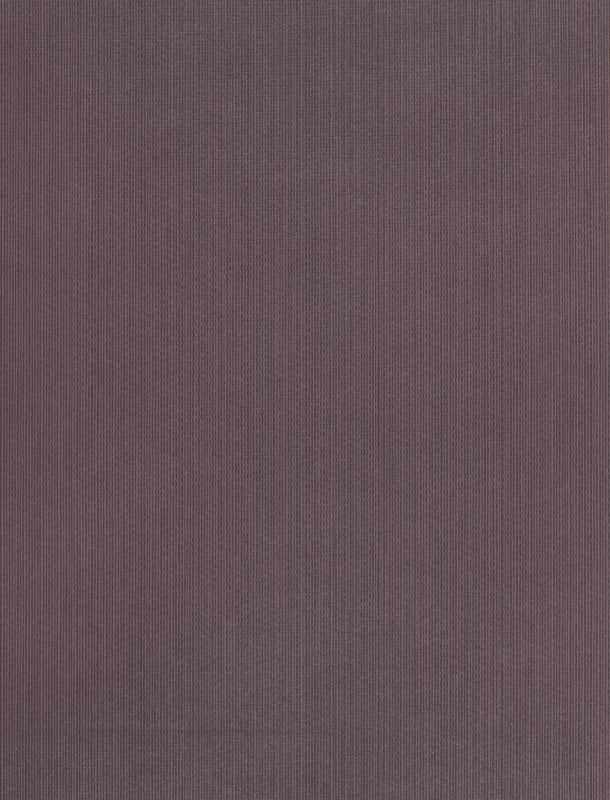  NVN302974 