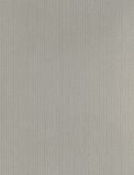  NVN302979 