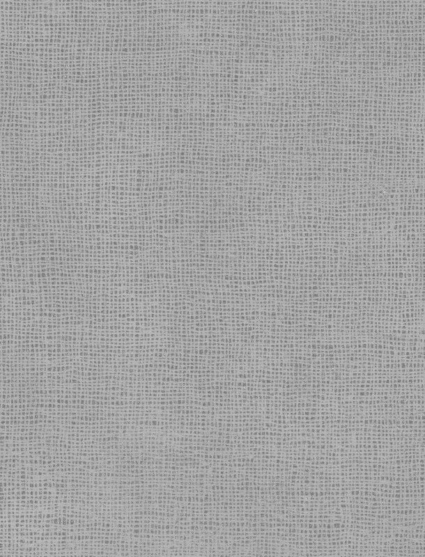  NVN302981 