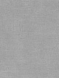  NVN302981 