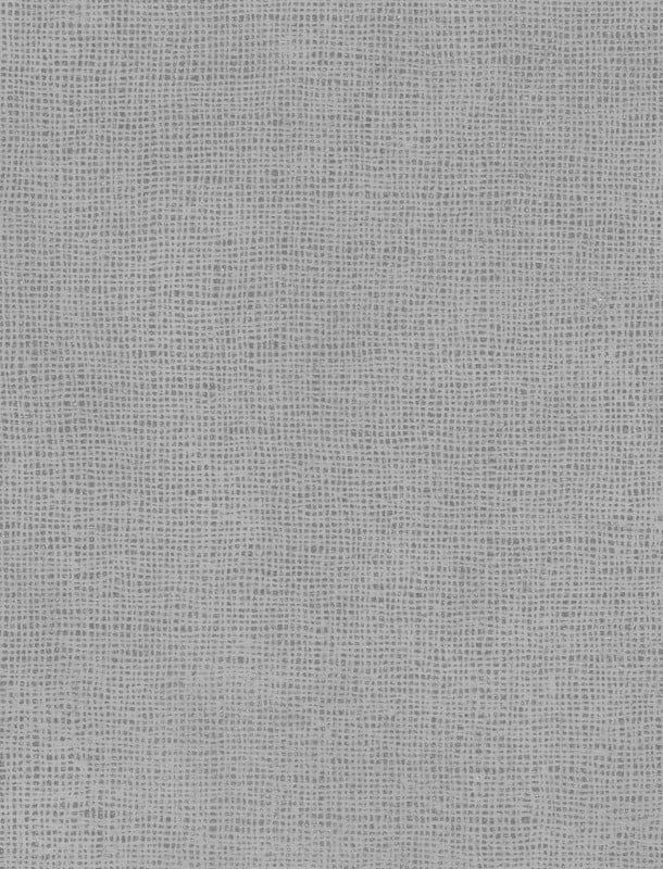  NVN302981 