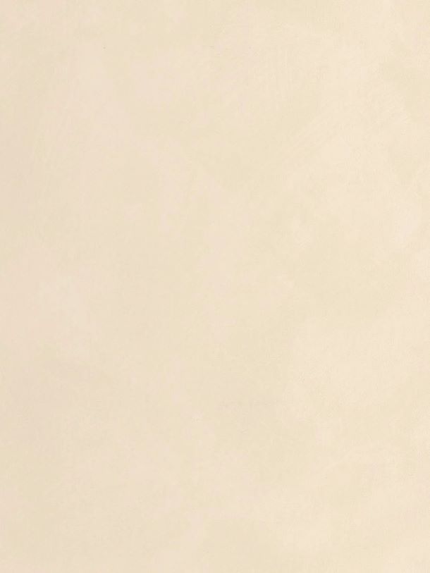  OE 4893918831 