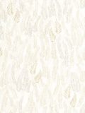  OT 499208596 