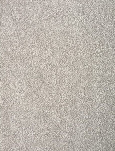 PF173113 