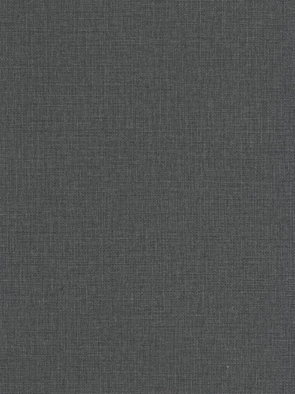  RLF 4895980510 