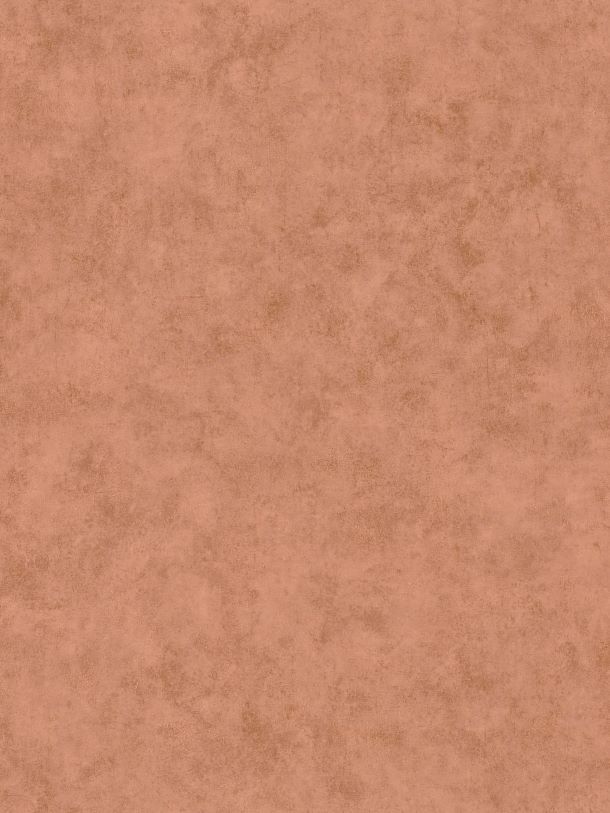  RLF 4898516478 