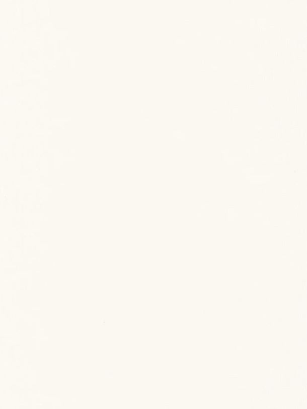  RLF 4931480000 