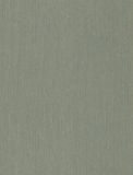  SEE 425799870 