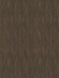  TC 423886738 