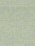  TC 423919390 