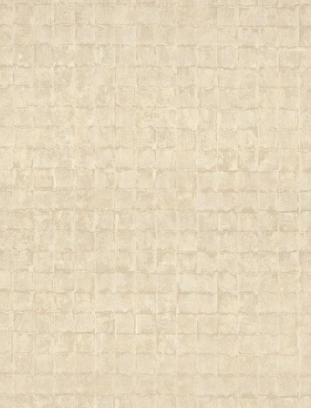  TC 423919798 
