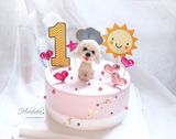  Poodle hồng 
