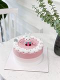  Thỏ ombre 