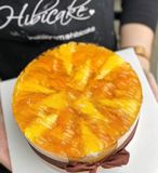  BLTM (sốt trên) 