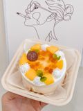  Mini xoài 
