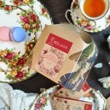  Trà Hoa Thảo Mộc Red Lava - Hộp Trà 20 Túi Lọc 