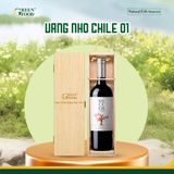  Vang Nho Chile 01 