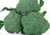Galaxy F1 Broccoli