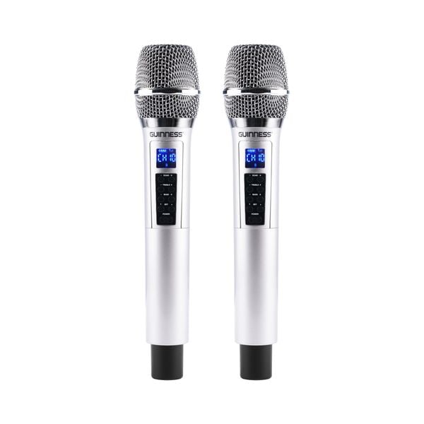 Micro Guinness M - 830D