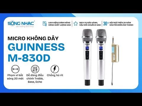 Micro Guinness M - 830D