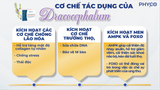  Combo 90 ngày giảm nám - Bật tông da cùng Phyco BeauTé 