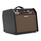 Boss Singer Pro Acoustic Amplifier