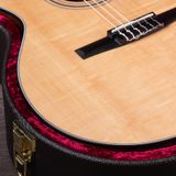 Đàn Guitar Taylor 314CEN Acoustic