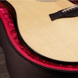 Đàn Guitar Taylor 210CE Plus Acoustic