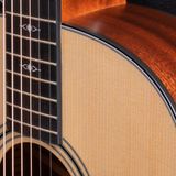 Đàn Guitar Taylor 317E Acoustic