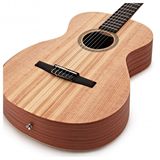 Đàn Guitar Taylor A12N Classic