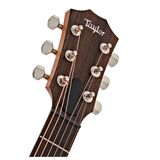 Đàn Guitar Taylor GT Urban Ash Acoustic