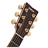 Đàn Guitar Yamaha LSTA Acoustic