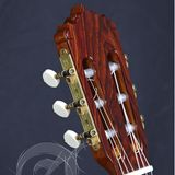 Đàn Guitar Alhambra Linea Professional Classic