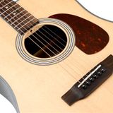 Đàn Guitar Saga SF800 Acoustic w/Bag