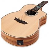 Washburn Allure SC56SCE Bella Tono Electro Acoustic