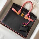  Birkin B25 Chèvre Bicolor 