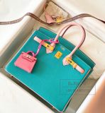  Birkin B25 Chèvre Bicolor GHW 
